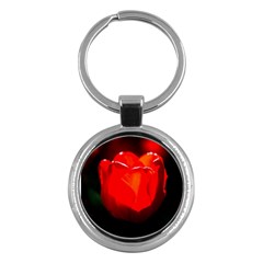 Red Tulip A Bowl Of Fire Key Chains (round)  by FunnyCow