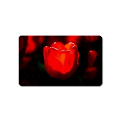 Red Tulip A Bowl Of Fire Magnet (name Card) by FunnyCow