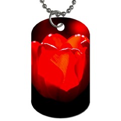 Red Tulip A Bowl Of Fire Dog Tag (two Sides) by FunnyCow