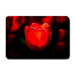 Red Tulip A Bowl Of Fire Small Doormat  by FunnyCow