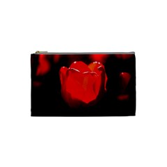 Red Tulip A Bowl Of Fire Cosmetic Bag (small) by FunnyCow