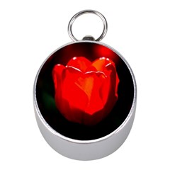 Red Tulip A Bowl Of Fire Mini Silver Compasses