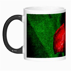 Red Tulip After The Shower Morph Mugs by FunnyCow