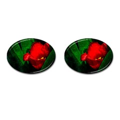 Red Tulip After The Shower Cufflinks (oval)