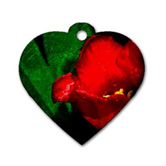 Red Tulip After The Shower Dog Tag Heart (two Sides) by FunnyCow