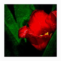 Red Tulip After The Shower Medium Glasses Cloth by FunnyCow