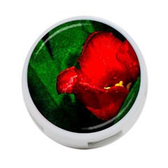 Red Tulip After The Shower 4-port Usb Hub (two Sides) by FunnyCow