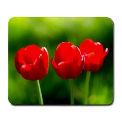 Three Red Tulips, Green Background Large Mousepads by FunnyCow