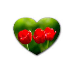 Three Red Tulips, Green Background Rubber Coaster (heart)  by FunnyCow
