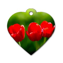 Three Red Tulips, Green Background Dog Tag Heart (two Sides) by FunnyCow