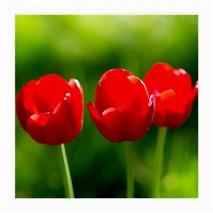 Three Red Tulips, Green Background Medium Glasses Cloth (2-side) by FunnyCow
