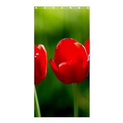 Three Red Tulips, Green Background Shower Curtain 36  X 72  (stall)  by FunnyCow