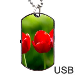 Three Red Tulips, Green Background Dog Tag Usb Flash (one Side) by FunnyCow