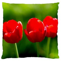 Three Red Tulips, Green Background Large Cushion Case (two Sides)