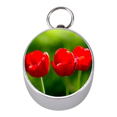 Three Red Tulips, Green Background Mini Silver Compasses by FunnyCow