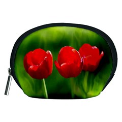 Three Red Tulips, Green Background Accessory Pouch (medium) by FunnyCow