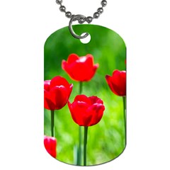 Red Tulip Flowers, Sunny Day Dog Tag (two Sides) by FunnyCow