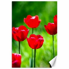 Red Tulip Flowers, Sunny Day Canvas 12  X 18  by FunnyCow