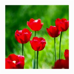 Red Tulip Flowers, Sunny Day Medium Glasses Cloth by FunnyCow