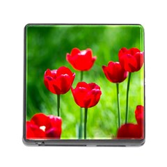 Red Tulip Flowers, Sunny Day Memory Card Reader (square 5 Slot) by FunnyCow