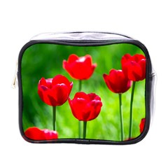 Red Tulip Flowers, Sunny Day Mini Toiletries Bag (one Side) by FunnyCow