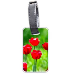 Red Tulip Flowers, Sunny Day Luggage Tags (one Side)  by FunnyCow