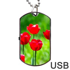 Red Tulip Flowers, Sunny Day Dog Tag Usb Flash (two Sides) by FunnyCow