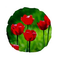 Red Tulip Flowers, Sunny Day Standard 15  Premium Round Cushions by FunnyCow