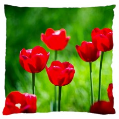 Red Tulip Flowers, Sunny Day Standard Flano Cushion Case (one Side) by FunnyCow