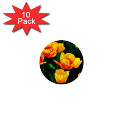 Yellow Orange Tulip Flowers 1  Mini Magnet (10 Pack)  by FunnyCow