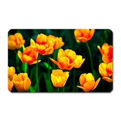 Yellow Orange Tulip Flowers Magnet (rectangular) by FunnyCow
