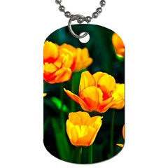 Yellow Orange Tulip Flowers Dog Tag (one Side) by FunnyCow