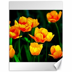 Yellow Orange Tulip Flowers Canvas 18  X 24  by FunnyCow