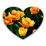 Yellow Orange Tulip Flowers Heart Mousepads Front