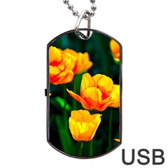 Yellow Orange Tulip Flowers Dog Tag Usb Flash (one Side) by FunnyCow