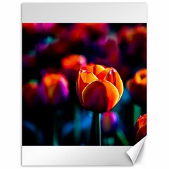 Red Tulips Canvas 18  X 24  by FunnyCow