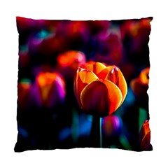 Red Tulips Standard Cushion Case (one Side) by FunnyCow