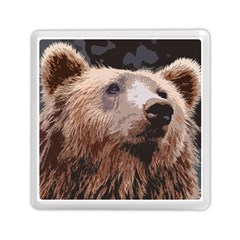 Bear Looking Memory Card Reader (square) by snowwhitegirl