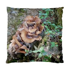 Abstract Of Mushroom Standard Cushion Case (one Side) by canvasngiftshop