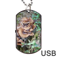 Abstract Of Mushroom Dog Tag Usb Flash (one Side) by canvasngiftshop