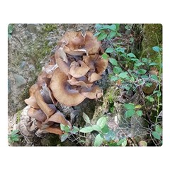 Abstract Of Mushroom Double Sided Flano Blanket (large) 