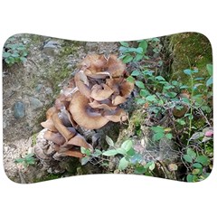 Abstract Of Mushroom Velour Seat Head Rest Cushion