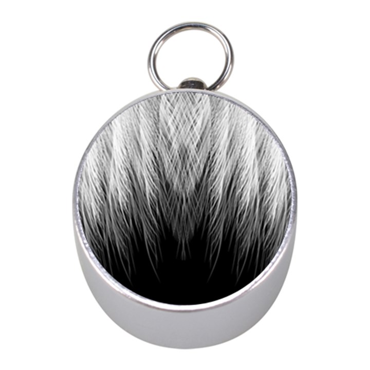 Feather Graphic Design Background Mini Silver Compasses