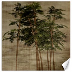 Vintage Bamboo Trees Canvas 16  X 16 
