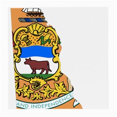 Flag Map of Delaware Medium Glasses Cloth (2-Side)