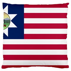 Flag Of Vermont, 1837-1923 Large Flano Cushion Case (one Side) by abbeyz71