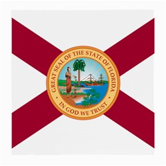 Flag Of Florida, 1900-1985 Medium Glasses Cloth (2-side) by abbeyz71