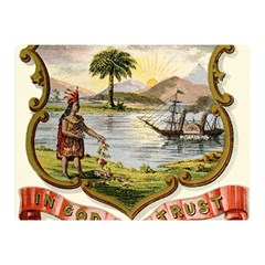 Historical Florida Coat Of Arms Double Sided Flano Blanket (mini)  by abbeyz71