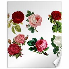 Roses 1770165 1920 Canvas 11  X 14  by vintage2030