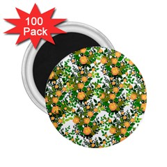 Peach Roses White 2 25  Magnets (100 Pack) 